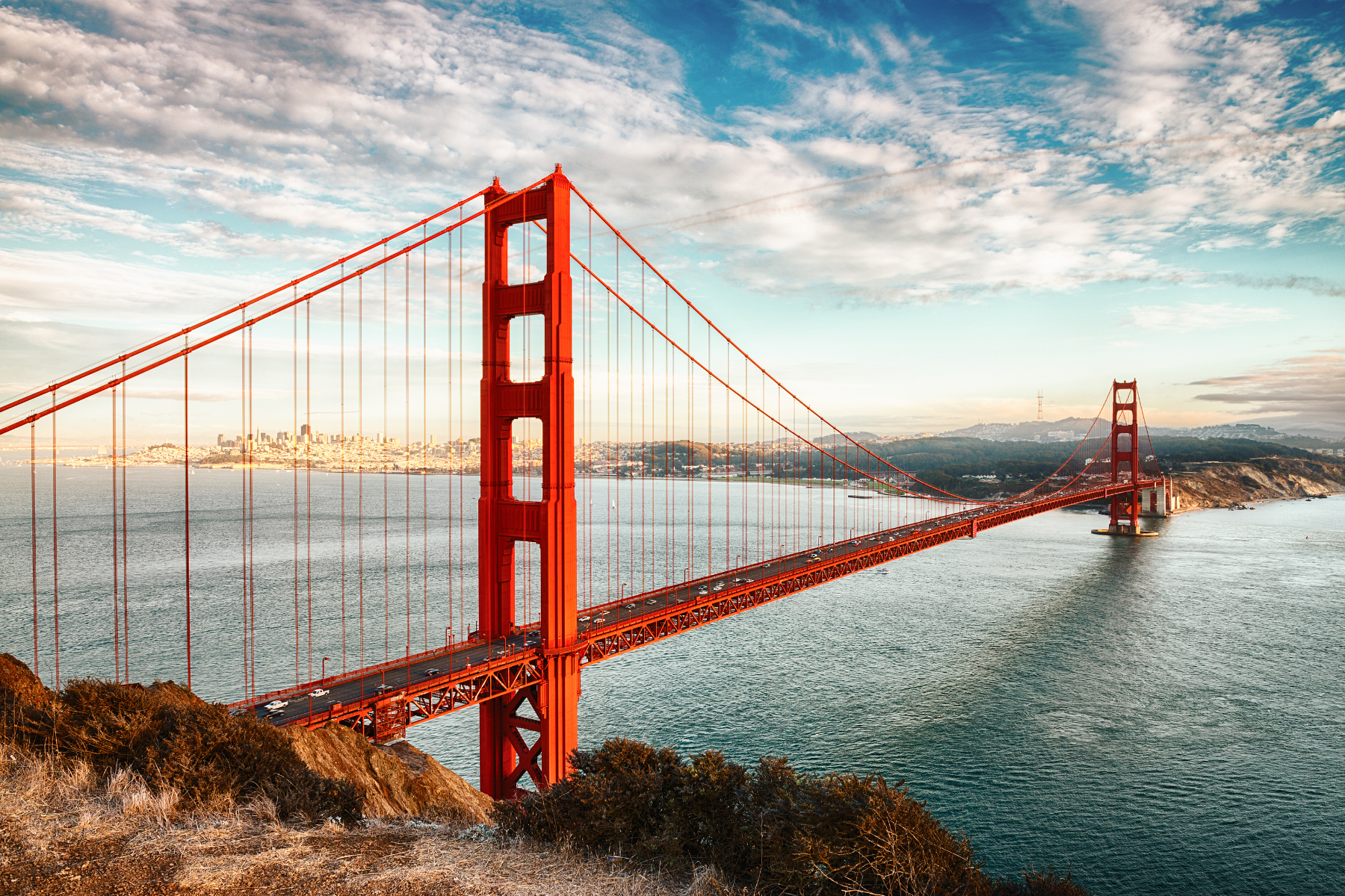 san francisco skyline